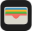 Apple Wallet Icon