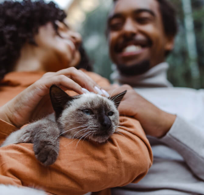 young couple cuddling cat