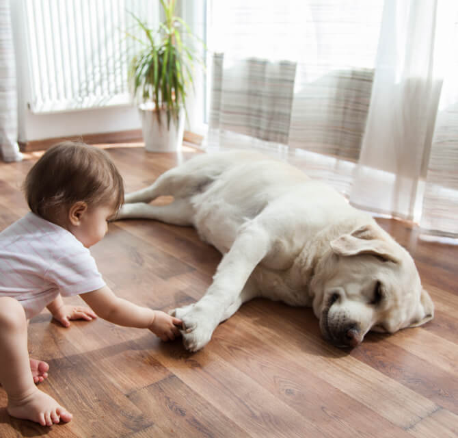 baby touching sleeping dogs paw