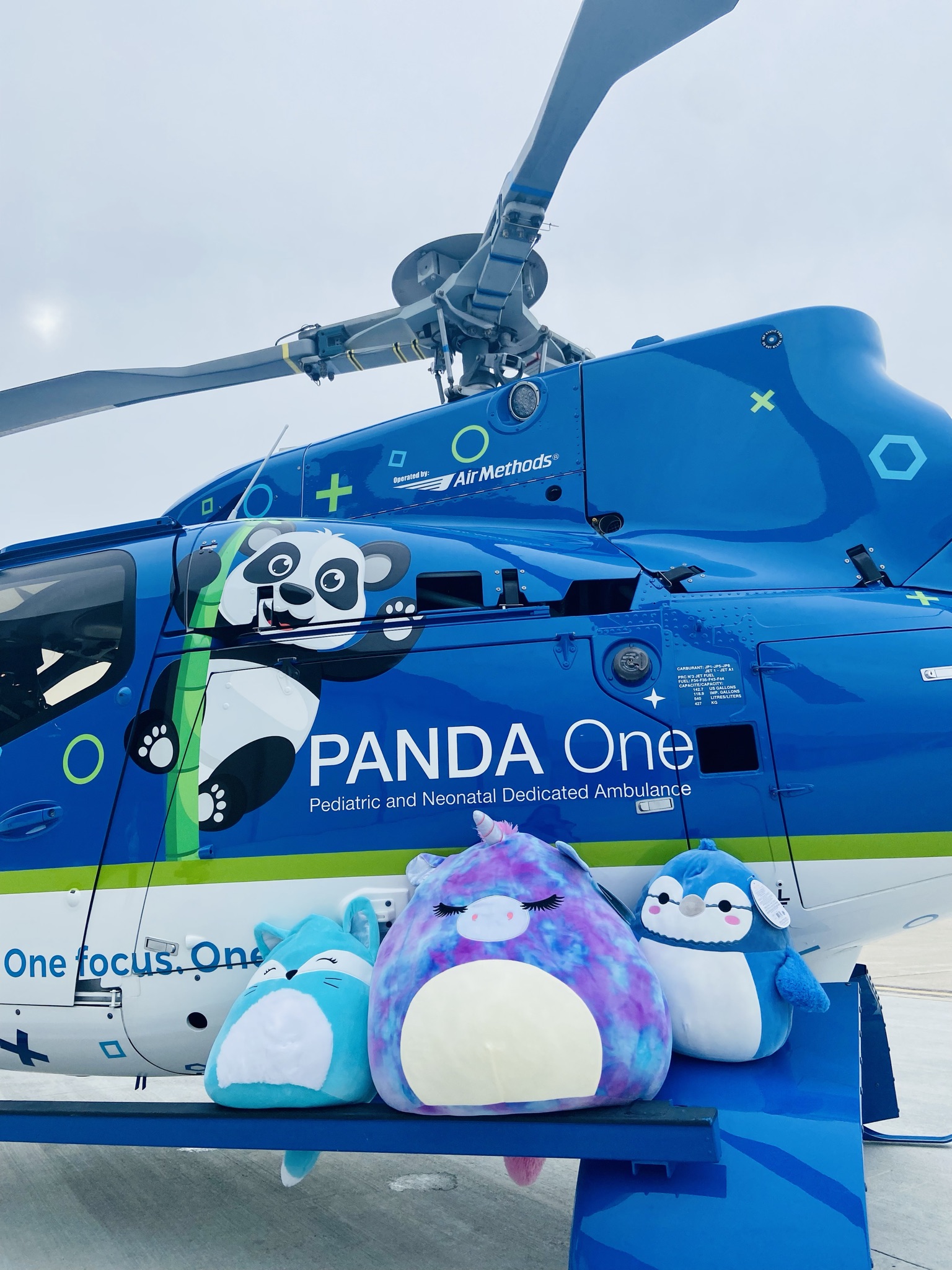 Panda One Helicopter and Squish Squad